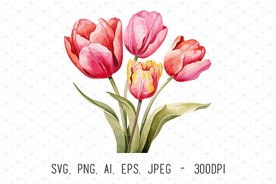 Watercolor Tulips Illustration floral flowers illustration illustrator painting tulips vector watercolor