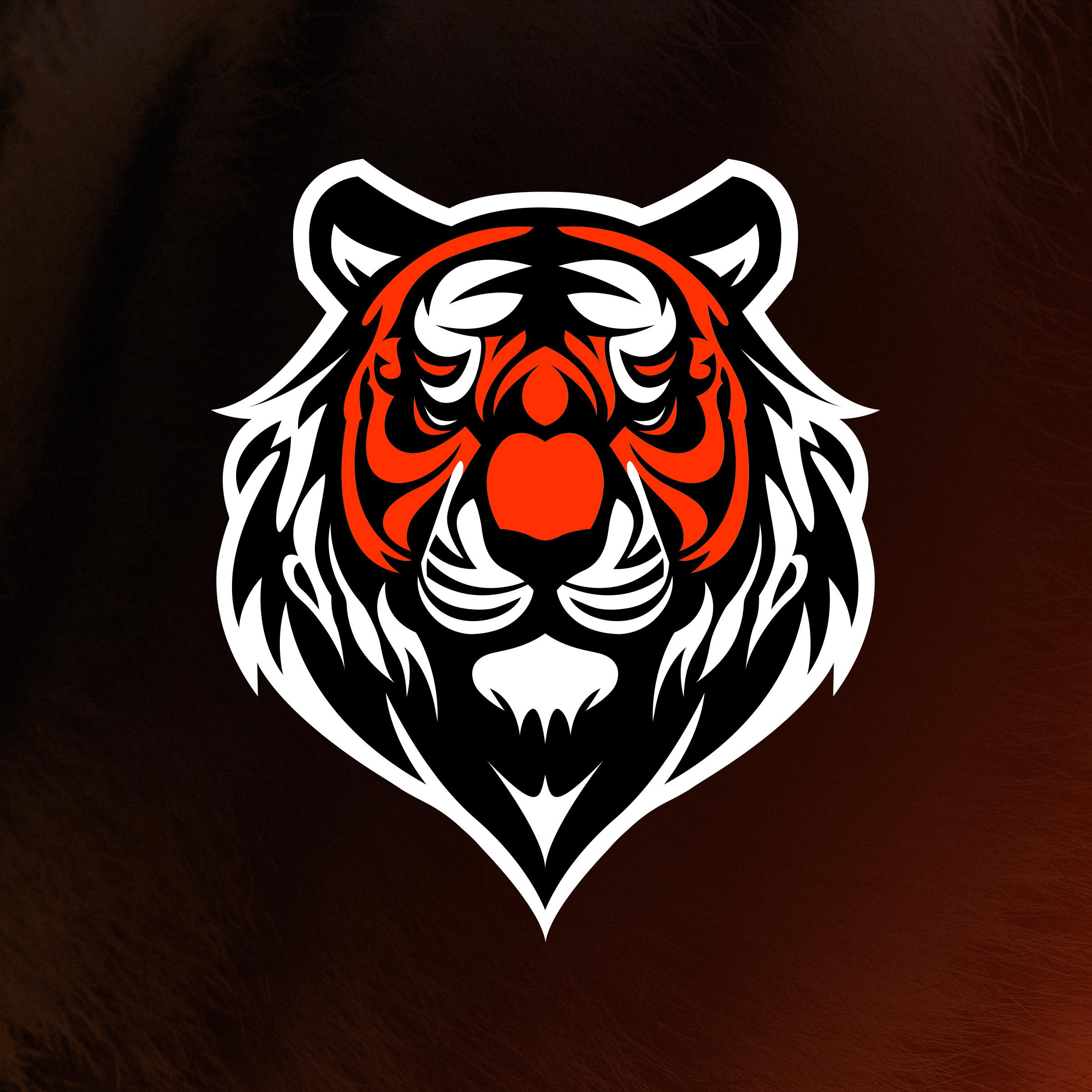 Allegan Public Schools Tiger Logo branding logos school logos sports logos tiger