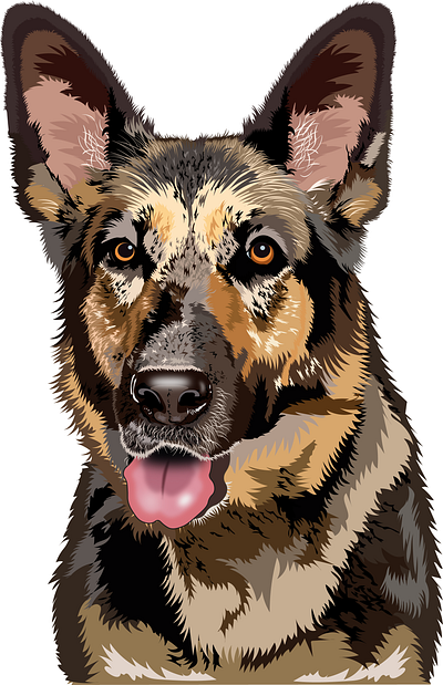 German Shepherd animal illustration animal vector canine artwork digital art dog dog lover dog portrait flat design graphic design illustration pet pet art pet drawing pet portrait shepherd vector vector art