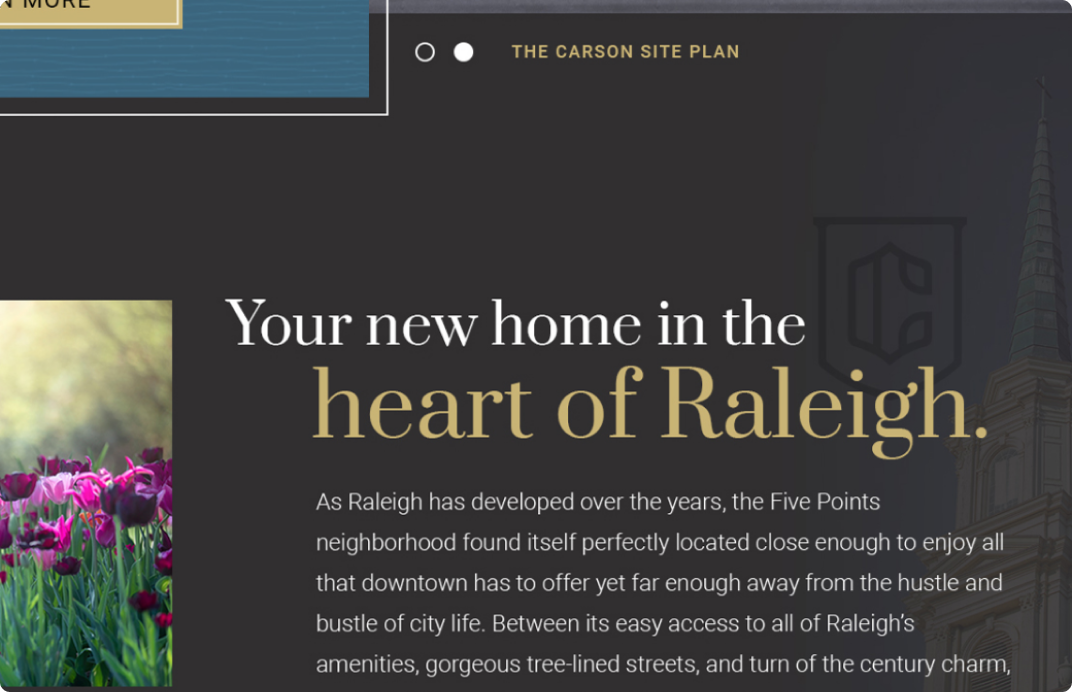 The Carson branding community website digital design print design real estate real estate website web design