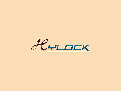 Hylock-Logo app branding design graphic design illustration logo logos typography ui vector