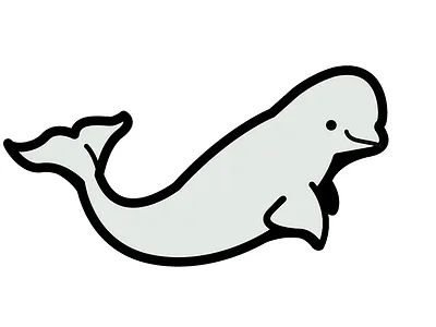 Baby Beluga adobe adobe illustrator branding logo vector whales