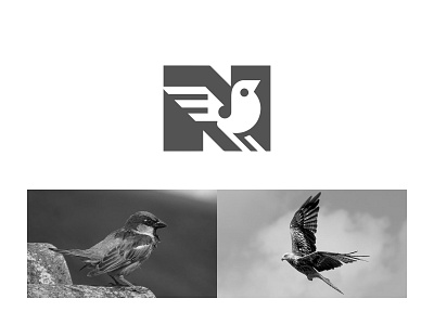 Solid letter N sparrow bird typography ready-made logo for sale 3d anhdodes animation branding design graphic design illustration logo logo design logo designer logodesign minimalist logo minimalist logo design motion graphics ui