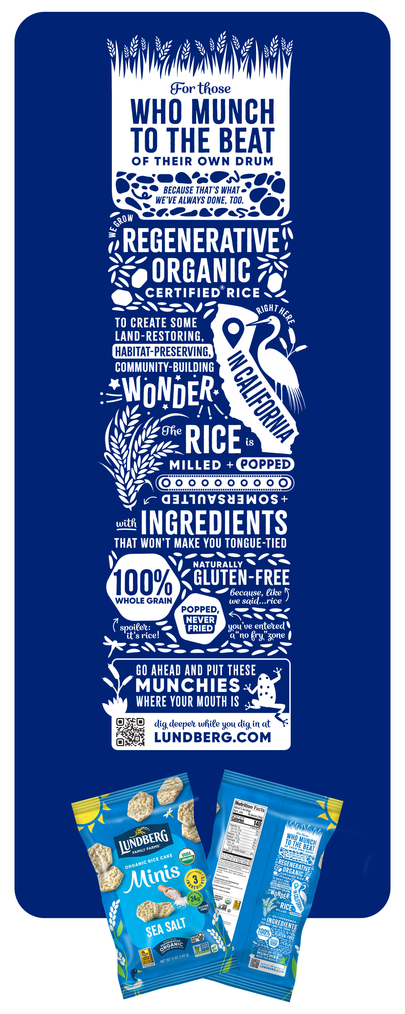 Infographic for Lundberg Minis Rice Cakes Packaging icon illustration infographic packaging vector