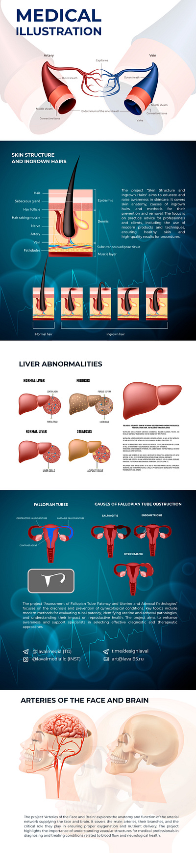 Medical illustration anatomy graphic design illustration medicine