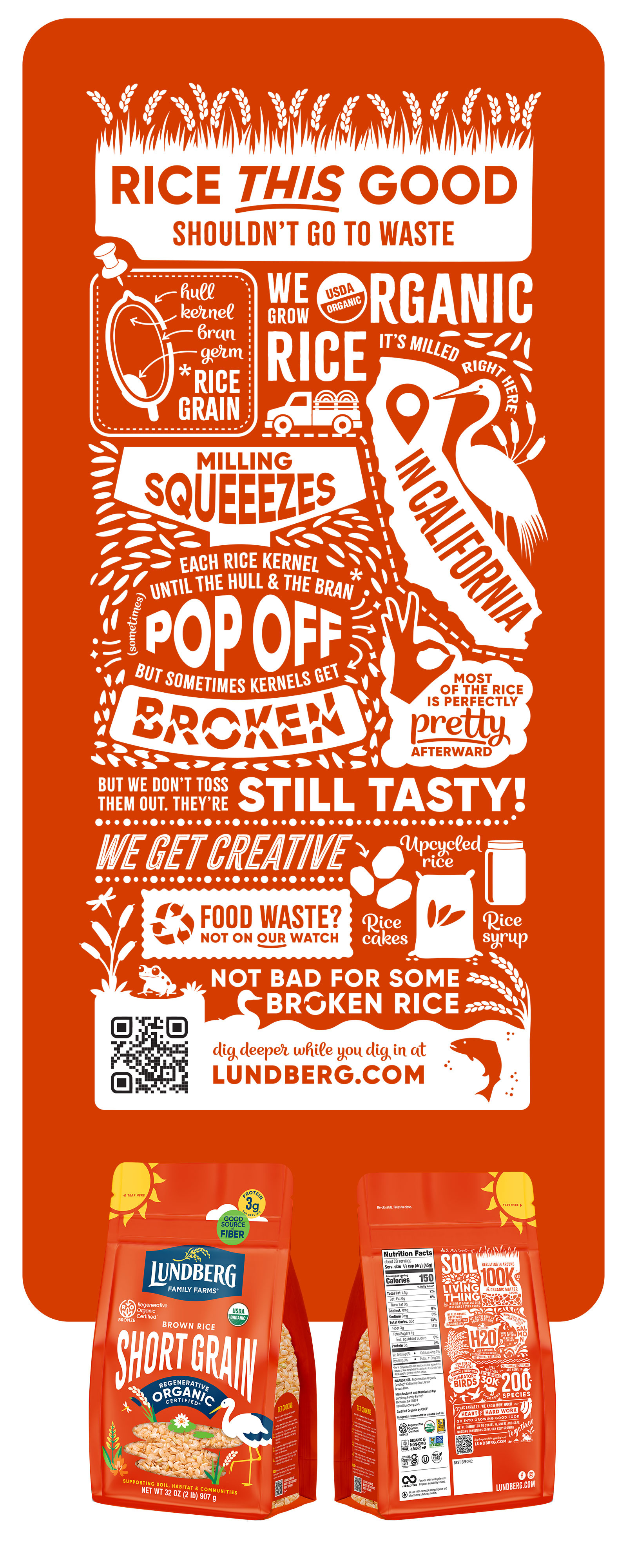 Infographic for Lundberg Upcycled Organic Rice Packaging icon illustration infographic packaging vector