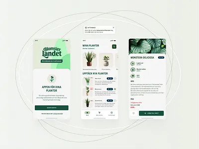 Blomsterlandet design flowers graphic design ui ux