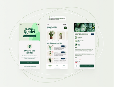 Blomsterlandet design flowers graphic design ui ux