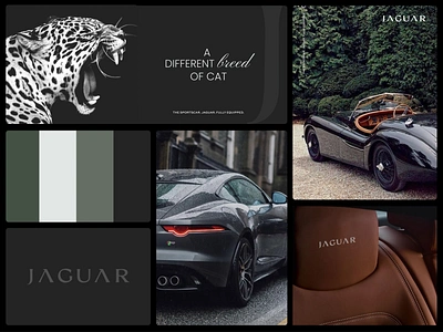 Jaguar - Classic Rebrand automotivedesign brand identity branding design digital design heritage design illustration jaguar logo logo design luxury branding luxury cars rebrand ui ux web webdesign website