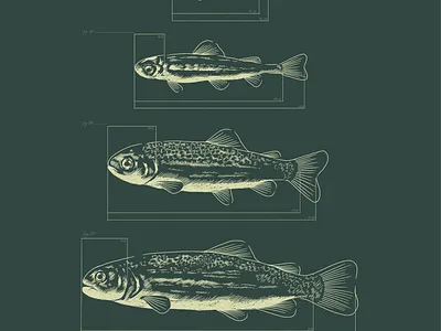 Semi-Aquatic film film poster illustration poster poster design