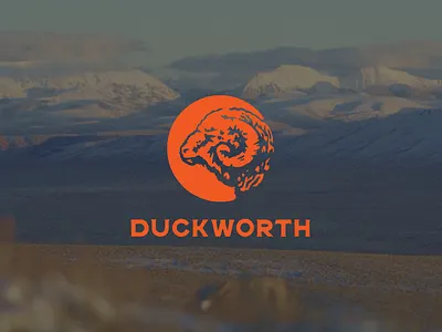 Duckworth branding design illustration type design typography vector