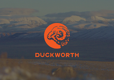 Duckworth branding design illustration type design typography vector