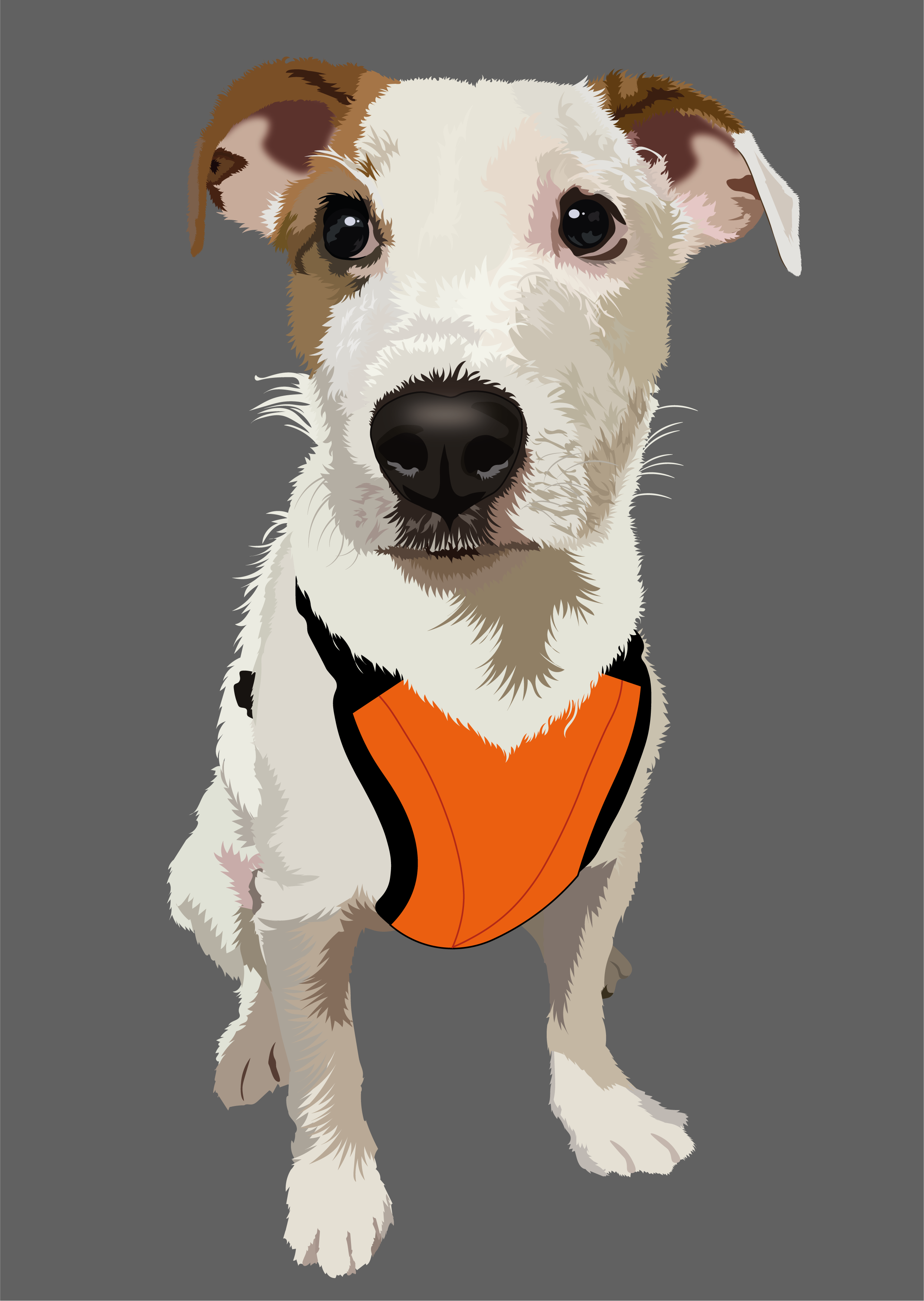 Terrier art digitalart dog dogart dogillustration dogillustrator doglover illustration illustrationdesign jackrussell jackrussellterrier pet petart petportrait portrait vector vectorart vectordrawing vectorportrait vectorstyle