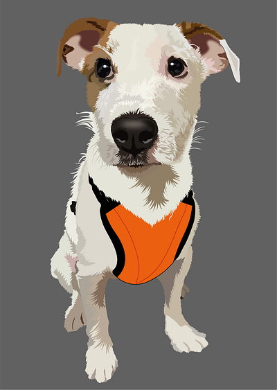 Terrier art digitalart dog dogart dogillustration dogillustrator doglover illustration illustrationdesign jackrussell jackrussellterrier pet petart petportrait portrait vector vectorart vectordrawing vectorportrait vectorstyle