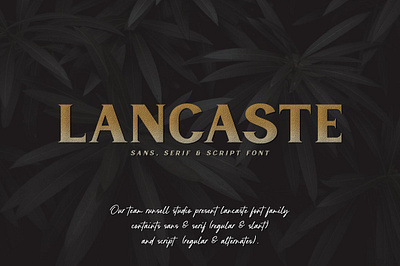 Lancaste - 3 Fonts badge branding calligraphy chic font ellegant fashion feminine handwritten instagram font invitation label lettering ligature logo packaging photography script template ui wedding