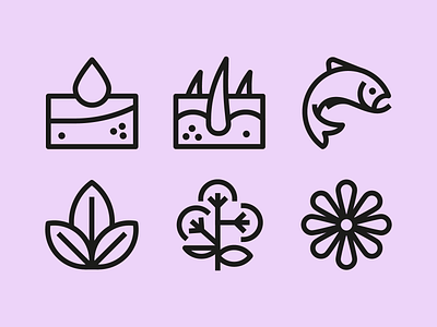 HH dog treat icons 01 biotin chamomile collagen daisy fish hair follicle herbs illustration linework salmon valerian root vector