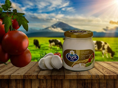 Puck Cream Cheese Ad Design