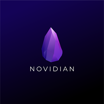 Novidian Stone branding logo