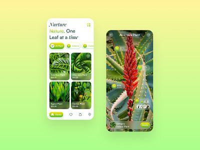 Plant App Design app app design design dribbble dribbble shot figma figma design plant app plant ui design typography ui ux
