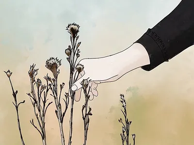 Autumn flowers art illustration procreate watercolour