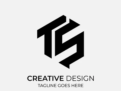 TS Creative Modern Monochrome Logo Design illustration ts ts logo