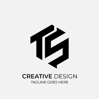 TS Creative Modern Monochrome Logo Design illustration ts ts logo