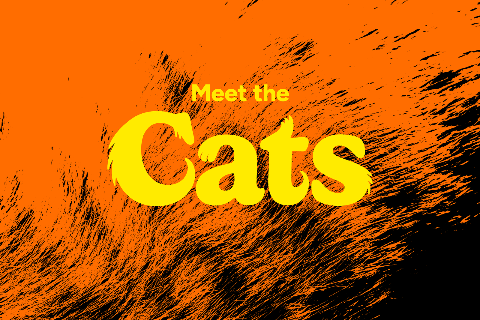 Meet the Cats branding custom type graphic design lettering logo typography