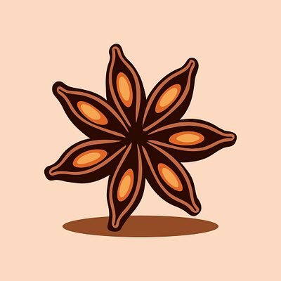 Delicate Anise Vector Illustrations for Health Topics organic