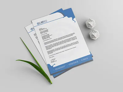 Letterhead Design branding businessidentity businesspad by corporateidentity corporateletterhead creativelikeness graphic design habiburrahman letterhead letterheadpad letterheadtemplate stationary