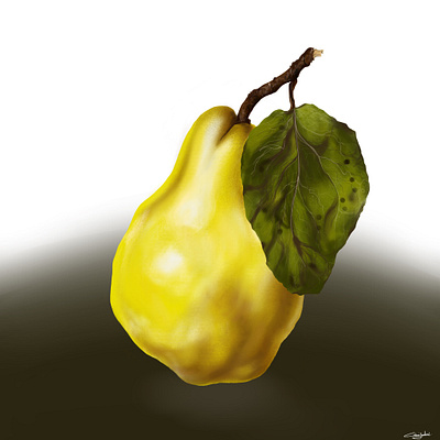 . degital painting illustration procreate realistic study still life