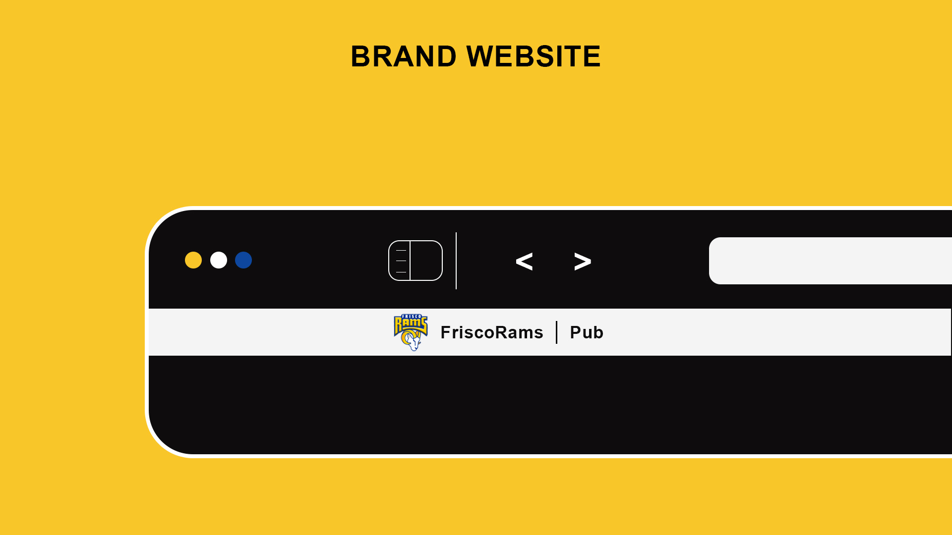 Example of Logo Guide And Branding Design