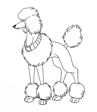 Poodle Sketch