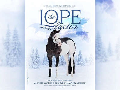 The Lope Factor AKA Mickey agriculture blue champion equestrian equine equine ad equine design farm animal horse horse ad horse design horses snow stallion stallion ad stallions winter world champion