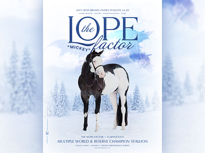 The Lope Factor AKA Mickey agriculture blue champion equestrian equine equine ad equine design farm animal horse horse ad horse design horses snow stallion stallion ad stallions winter world champion