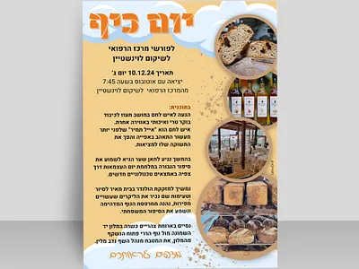 Flyer brand branding branding business design flyer graphic design israel travel vacation