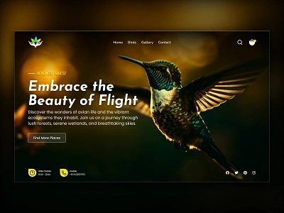 Tranquil Wings: Bird & Nature Inspired UI Design amandesigner creative design creative web design design inspiration digital design eco friendly design green sustainable hero section minimal design modern design nature aesthetic nature design nature lovers nature theme smooth ui ui design ux design visual storytelling website design wildlife