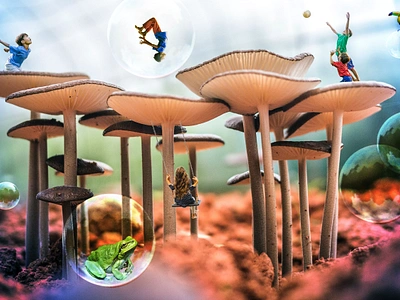 Photo Editing - Mushroom Kingdom design photo editing photoshop