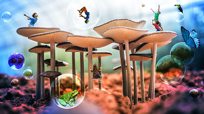 Photo Editing - Mushroom Kingdom design photo editing photoshop