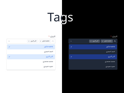 Tags chip chips combo box components dark dark mood drop down icon inpute list product design tag tags ui ux white white mood