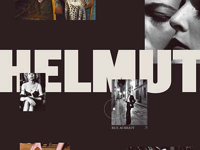 Helmut Newton - Fashion Photographer app brand branding creative design designposter fashion logo logomark logotype modern photo photograph poster posterdesign ui ux web web design website