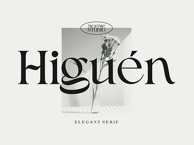 Higuen Elegant Serif bold book chunky classy cool feminine funky header higuen elegant serif minimal modern round serif soft stylish stylish font