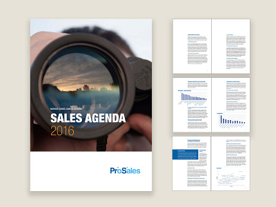 ProSales Report