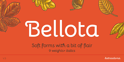 Bellota font family v5 display font fonts sans sans serif type type design typography variable variable font variable fonts