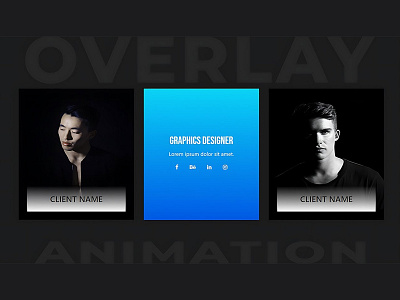 CSS Animated text Overlay css css animation css image hover effect css3 divinectorweb frontend html html5 webdesign