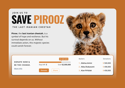 Crowdfunding - DailyUI - 032 campaign cheetah crowdfunding crowdfunding campaign daily ui 32 dailyui 032 dailyuichallenge design graphic design iran irani minimal persian ui ui ux design ux warm yellow website website design