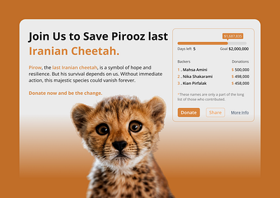 Crowdfunding - DailyUI - 032 campaign cheetah crowdfunding crowdfunding campaign daily ui 32 dailyui 032 dailyuichallenge design graphic design iran irani minimal persian ui ui ux design ux warm yellow website website design