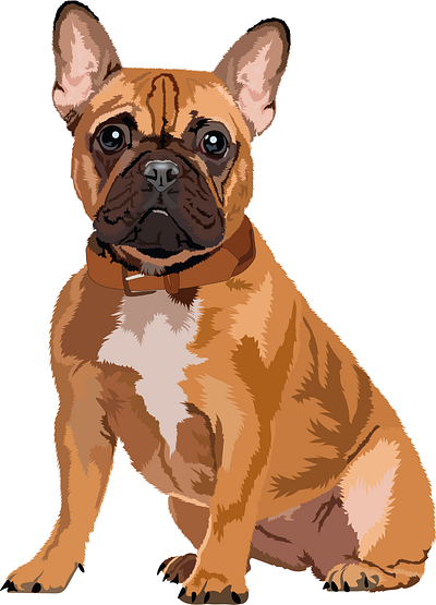 French Bulldog animal animaldrawing art color colorfulportrait cutepets digitalart dog dogillustration doglovers frenchbulldog graphicdesign illustration pet petart pets vector vectorart vectorillustration