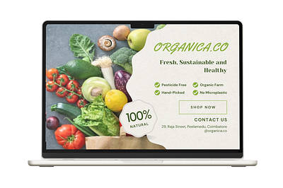 Organic Vegetables Store Poster