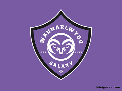 Waunarlwydd Galaxy Football Club. brand branding design esports footballclub graphic design illustration logo mascot spo sports waunarlwyddgalaxy