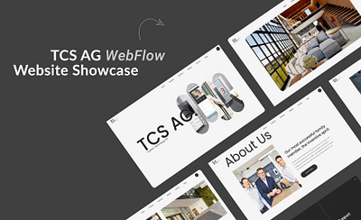 TCS Control System WebFlow Website Development figma uiux web design web development webflow